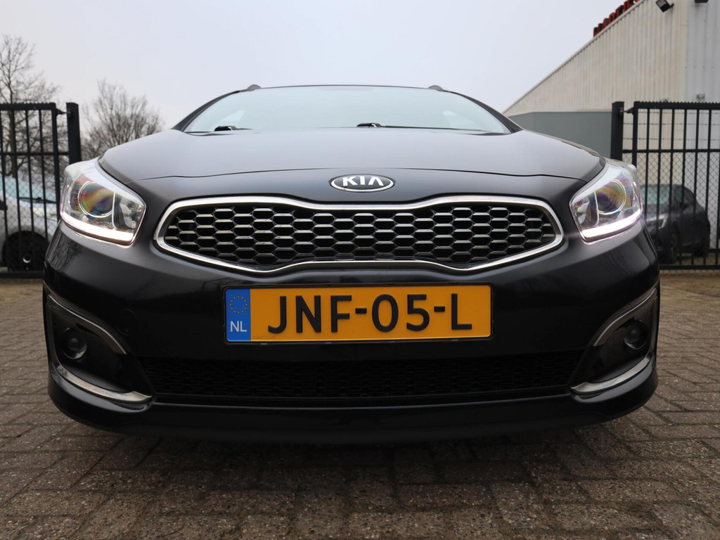 49788504-14.jpg